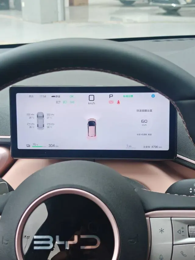 2025 BYD Seagull BEV 38.88KWH,autocango,china used car exporter,china ev exporter,chinese used car exporter,chinese used ev exporter