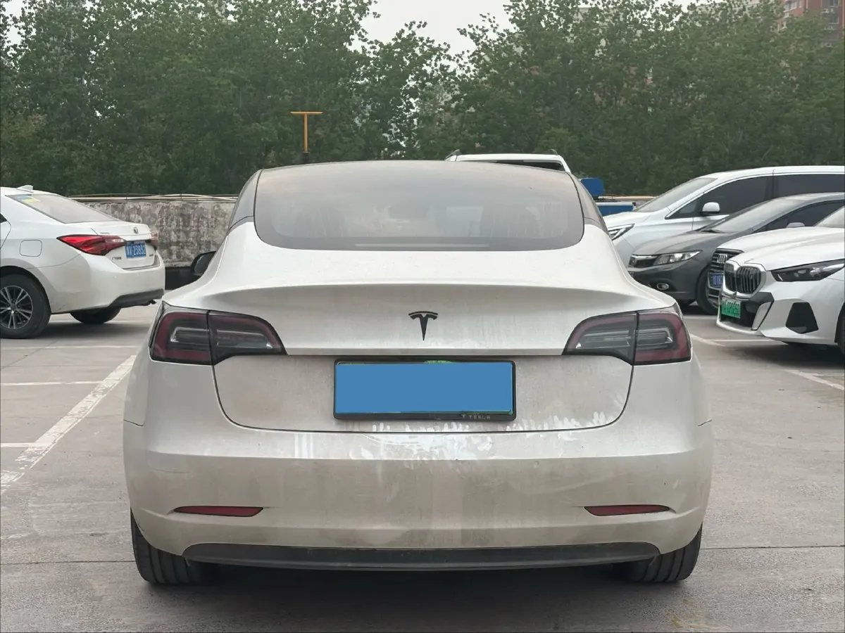 2020 Tesla Model 3 BEV 52KWH,autocango,china used car exporter,china ev exporter,chinese used car exporter,chinese used ev exporter