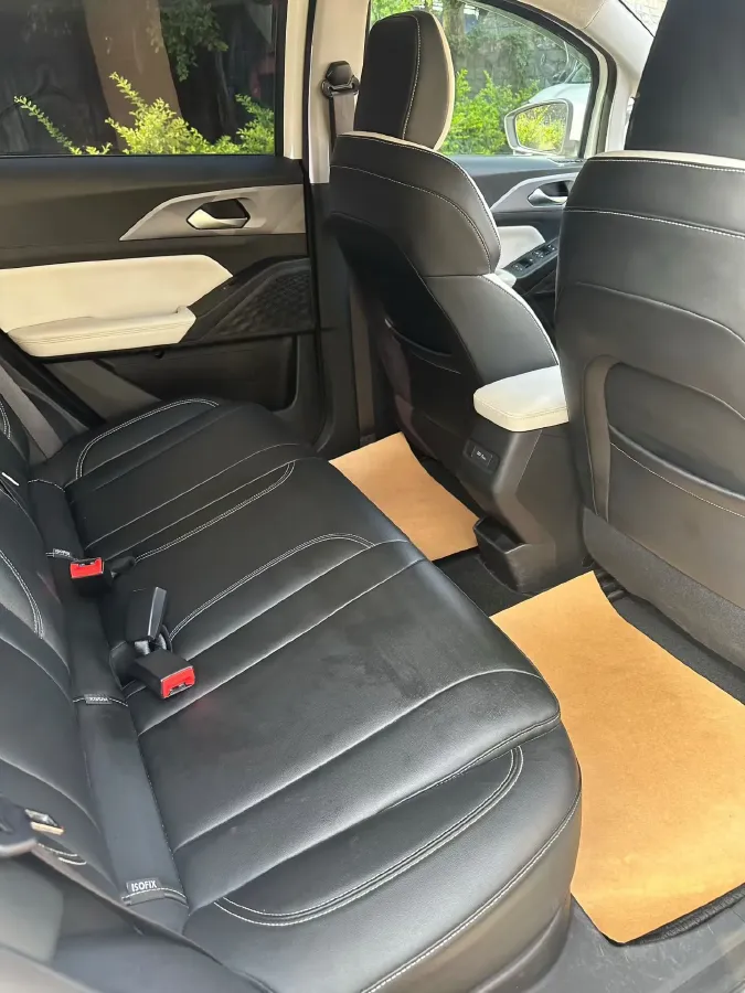 2024 Geometry E BEV 29.67KWH,autocango,china used car exporter,china ev exporter,chinese used car exporter,chinese used ev exporter