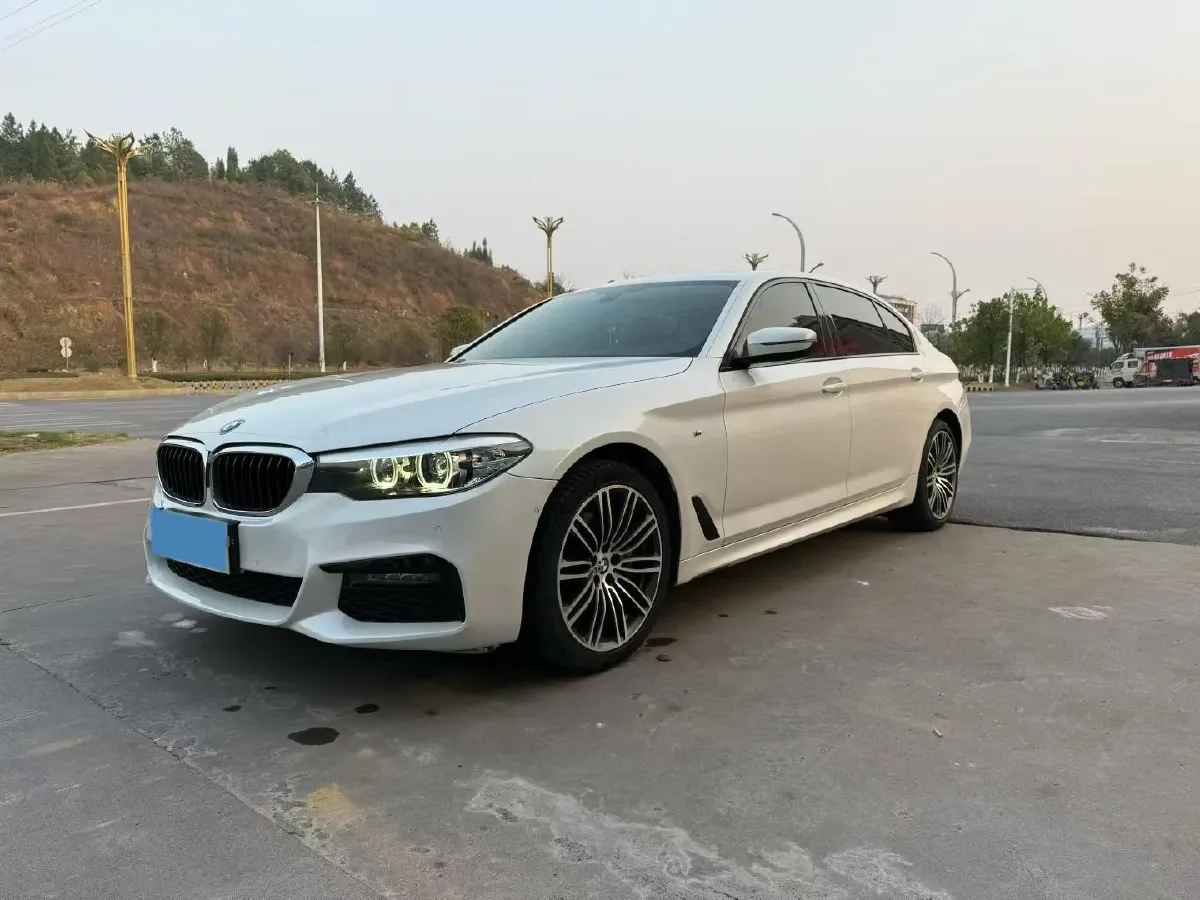 2020 BMW 5 Series 2.0T 252HP L4 8AT,autocango,china used car exporter,china ev exporter,chinese used car exporter,chinese used ev exporter