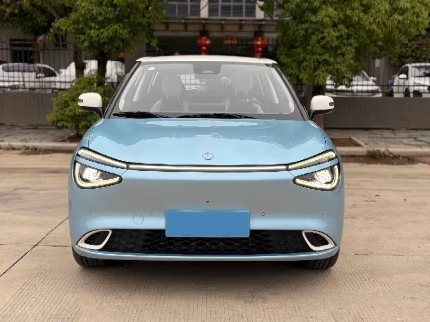 2024 DongFeng Nammi 01 BEV 42.3KWH,autocango,china used car exporter,china ev exporter,chinese used car exporter,chinese used ev exporter