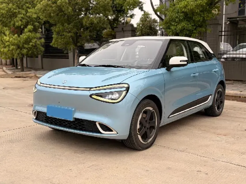 2024 DongFeng Nammi 01 BEV 42.3KWH,autocango,china used car exporter,china ev exporter,chinese used car exporter,chinese used ev exporter