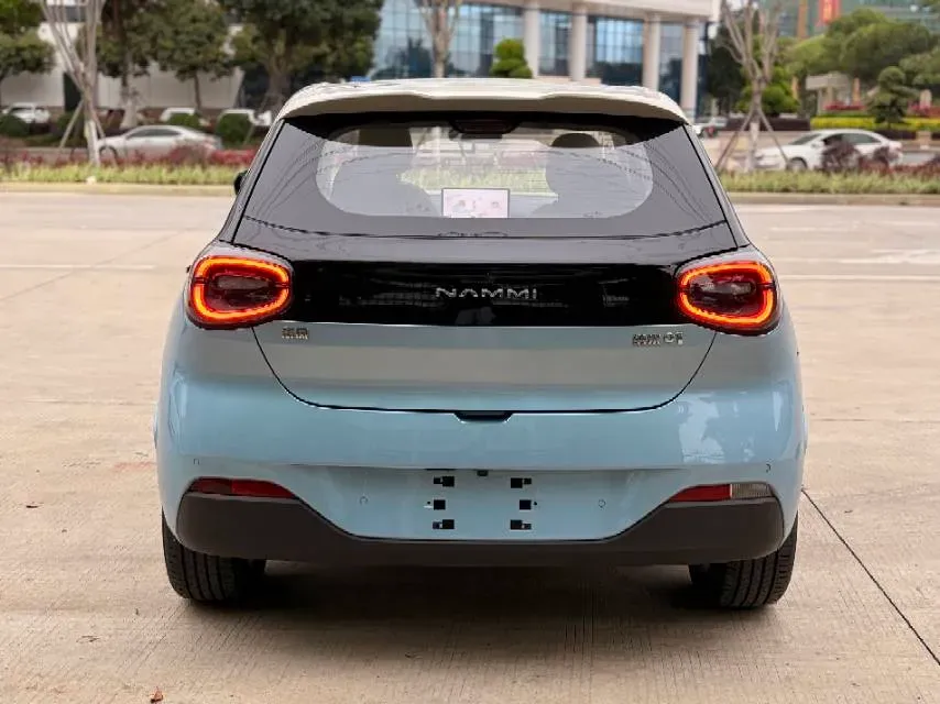 2024 DongFeng Nammi 01 BEV 42.3KWH,autocango,china used car exporter,china ev exporter,chinese used car exporter,chinese used ev exporter