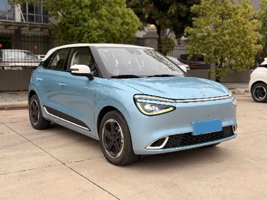 2024 DongFeng Nammi 01 BEV 42.3KWH,autocango,china used car exporter,china ev exporter,chinese used car exporter,chinese used ev exporter