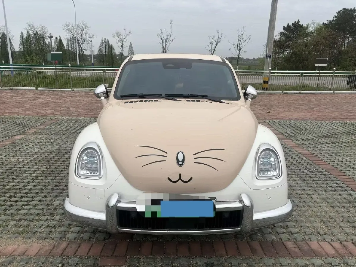 2022 Ora BalletCat BEV 49.92KWH,autocango,china used car exporter,china ev exporter,chinese used car exporter,chinese used ev exporter