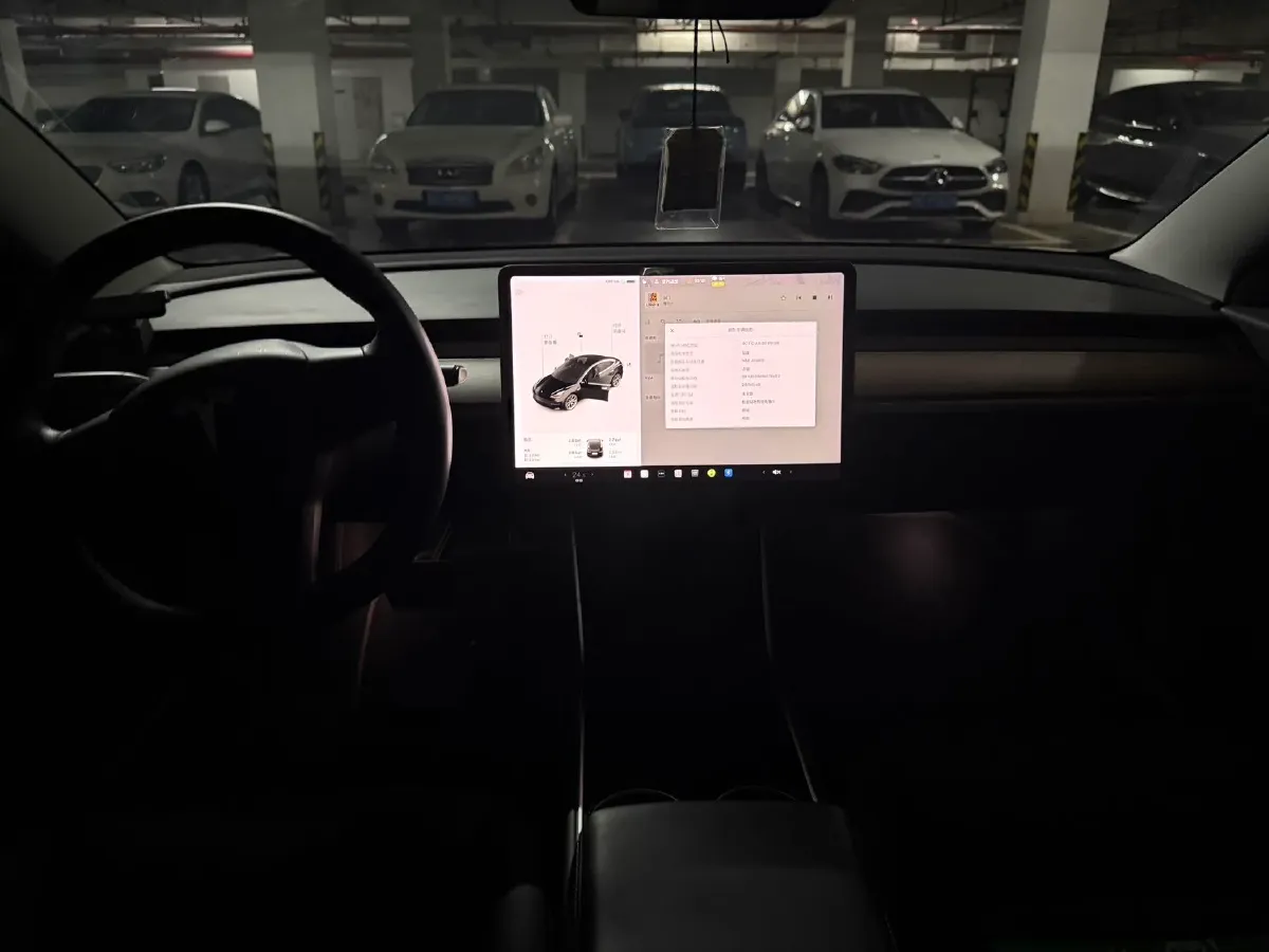 2020 Tesla Model 3 BEV 76.8KWH,autocango,china used car exporter,china ev exporter,chinese used car exporter,chinese used ev exporter