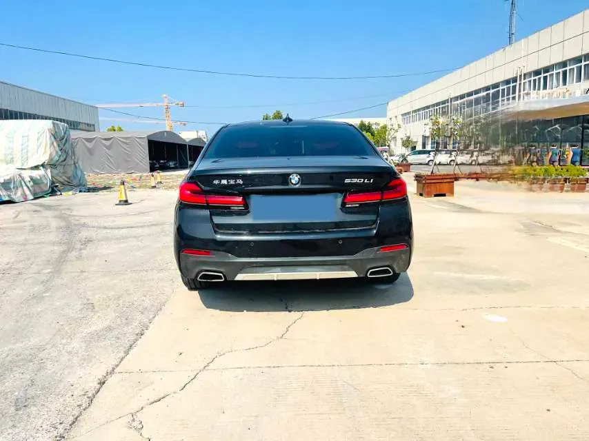 2022 BMW 5 Series 2.0T 252HP L4 8AT,autocango,china used car exporter,china ev exporter,chinese used car exporter,chinese used ev exporter