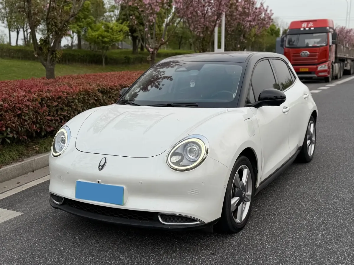 2021 Ora FunkyCat BEV 45.99KWH,autocango,china used car exporter,china ev exporter,chinese used car exporter,chinese used ev exporter
