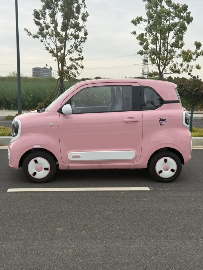 2025 Bestune Pony BEV 18.11KWH,autocango,china used car exporter,china ev exporter,chinese used car exporter,chinese used ev exporter