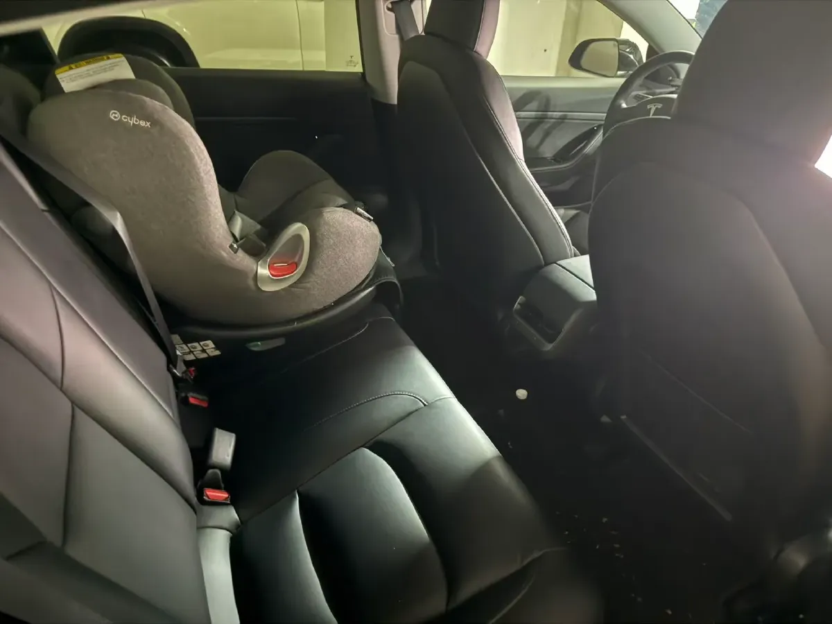 2020 Tesla Model 3 BEV 76.8KWH,autocango,china used car exporter,china ev exporter,chinese used car exporter,chinese used ev exporter