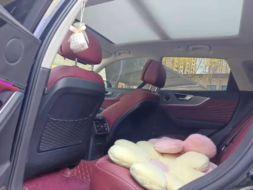 2023 HongQi HS5 2.0T 252HP L4 8AT,autocango,china used car exporter,china ev exporter,chinese used car exporter,chinese used ev exporter