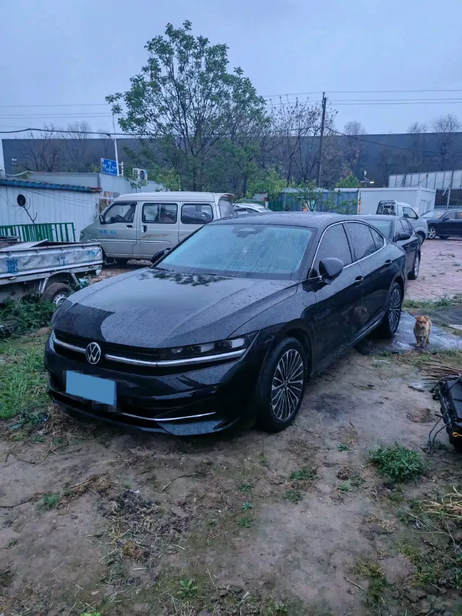 2024 Volkswagen Magotan 2.0T 220HP L4 7DCT,autocango,china used car exporter,china ev exporter,chinese used car exporter,chinese used ev exporter