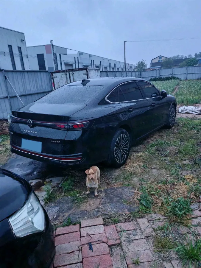 2024 Volkswagen Magotan 2.0T 220HP L4 7DCT,autocango,china used car exporter,china ev exporter,chinese used car exporter,chinese used ev exporter