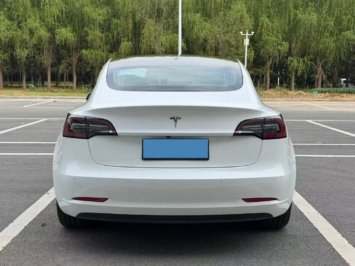 2019 Tesla Model 3 BEV 81KWH,autocango,china used car exporter,china ev exporter,chinese used car exporter,chinese used ev exporter