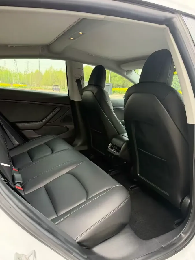 2019 Tesla Model 3 BEV 81KWH,autocango,china used car exporter,china ev exporter,chinese used car exporter,chinese used ev exporter