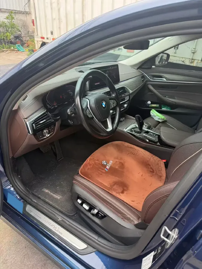 2021 BMW 5 Series 2.0T 252HP L4 8AT,autocango,china used car exporter,china ev exporter,chinese used car exporter,chinese used ev exporter