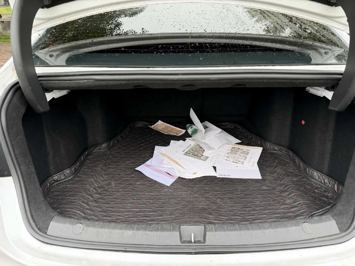 2021 DongFeng FuKang e Elysee BEV 30.7KWH,autocango,china used car exporter,china ev exporter,chinese used car exporter,chinese used ev exporter