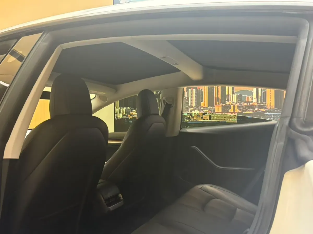 2021 Tesla Model 3 BEV 55KWH,autocango,china used car exporter,china ev exporter,chinese used car exporter,chinese used ev exporter