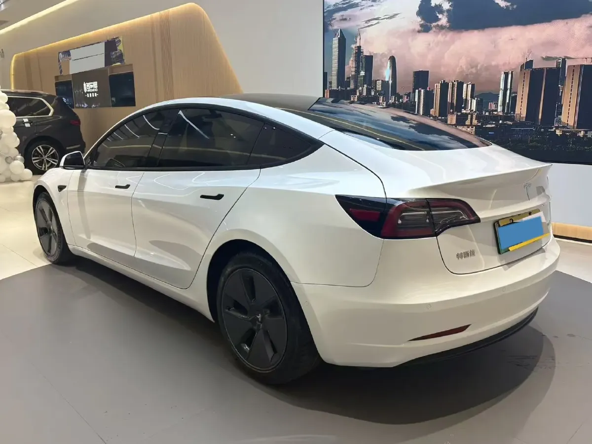 2021 Tesla Model 3 BEV 55KWH,autocango,china used car exporter,china ev exporter,chinese used car exporter,chinese used ev exporter