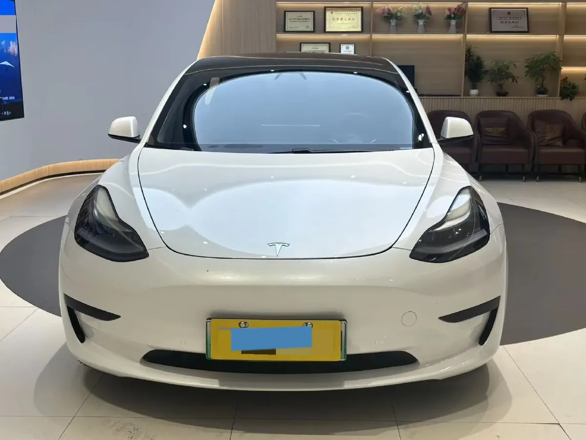 2021 Tesla Model 3 BEV 55KWH,autocango,china used car exporter,china ev exporter,chinese used car exporter,chinese used ev exporter