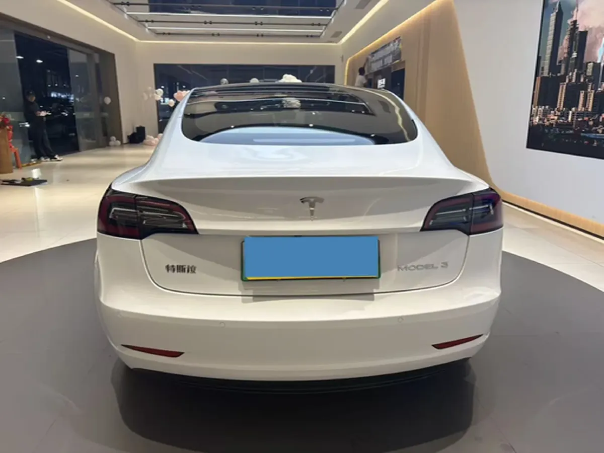2021 Tesla Model 3 BEV 55KWH,autocango,china used car exporter,china ev exporter,chinese used car exporter,chinese used ev exporter