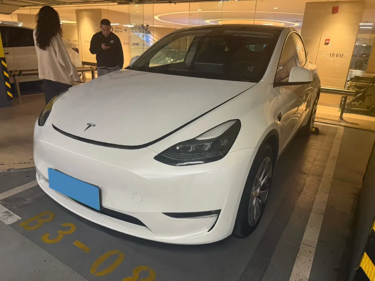 2021 Tesla Model 3 BEV 76.8KWH,autocango,china used car exporter,china ev exporter,chinese used car exporter,chinese used ev exporter