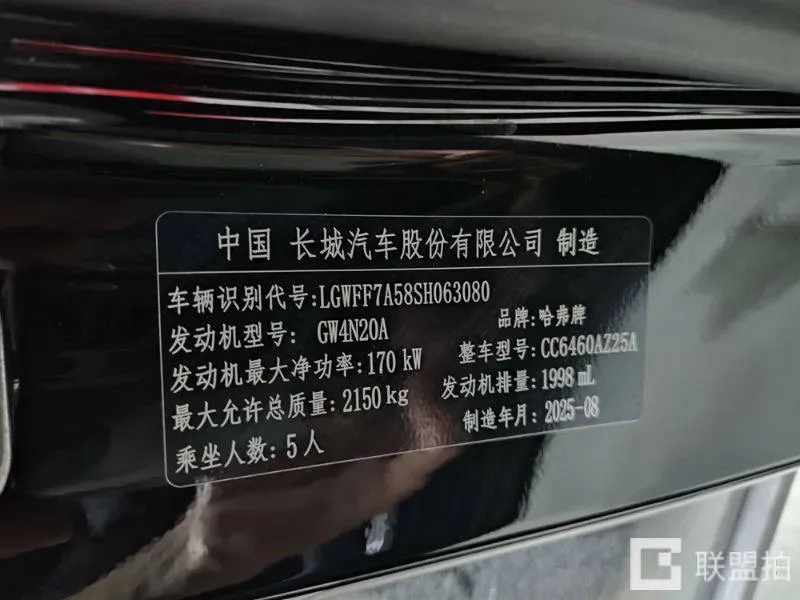 2024 Haval Dargo 2.0T 238HP L4 9DCT,autocango,china used car exporter,china ev exporter,chinese used car exporter,chinese used ev exporter