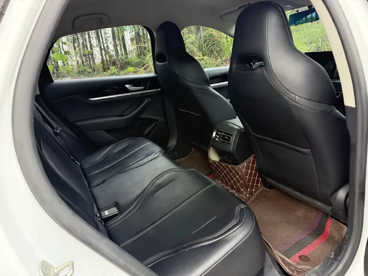 2021 BYD Qin BEV 53.56KWH,autocango,china used car exporter,china ev exporter,chinese used car exporter,chinese used ev exporter