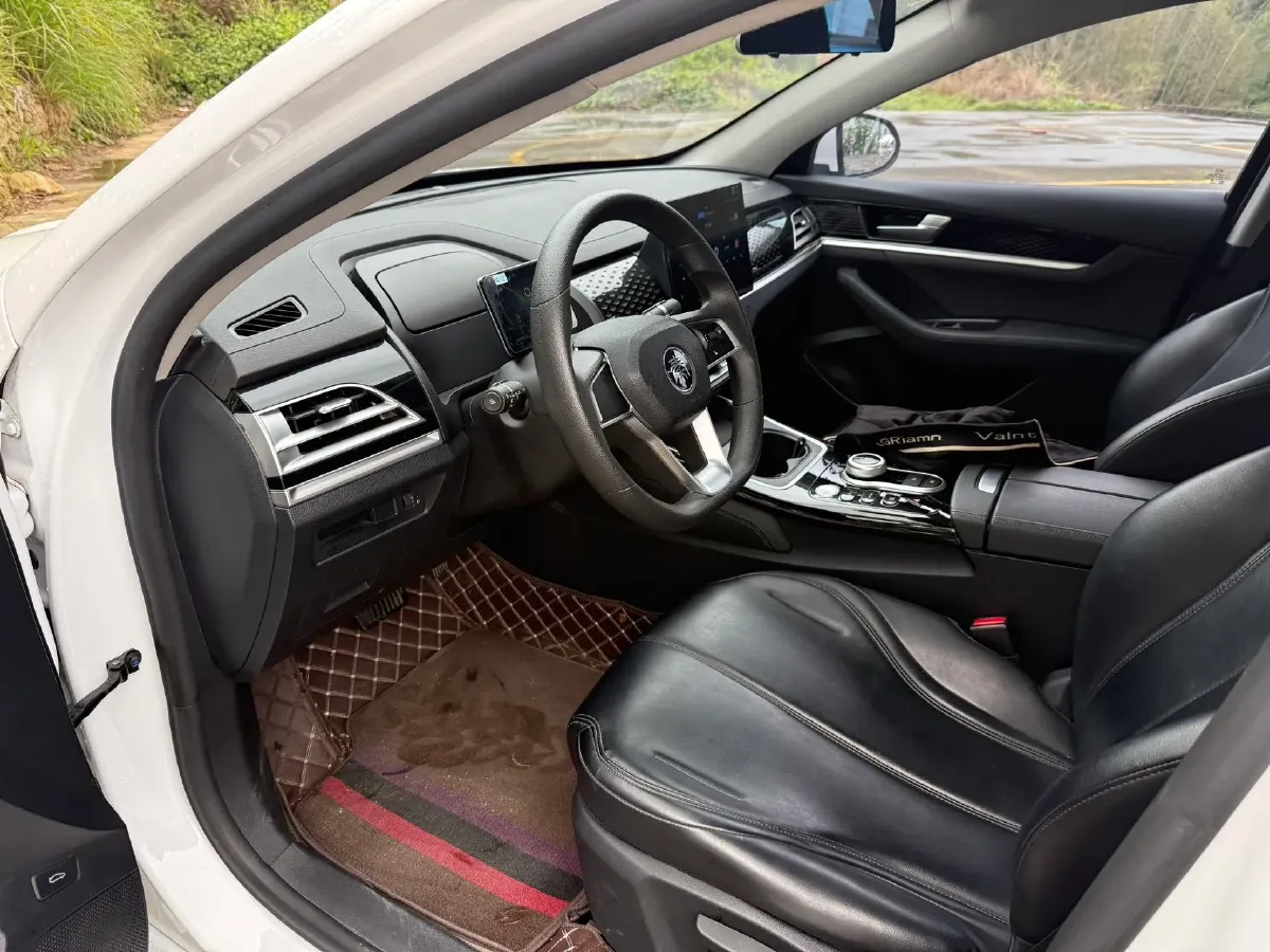 2021 BYD Qin BEV 53.56KWH,autocango,china used car exporter,china ev exporter,chinese used car exporter,chinese used ev exporter