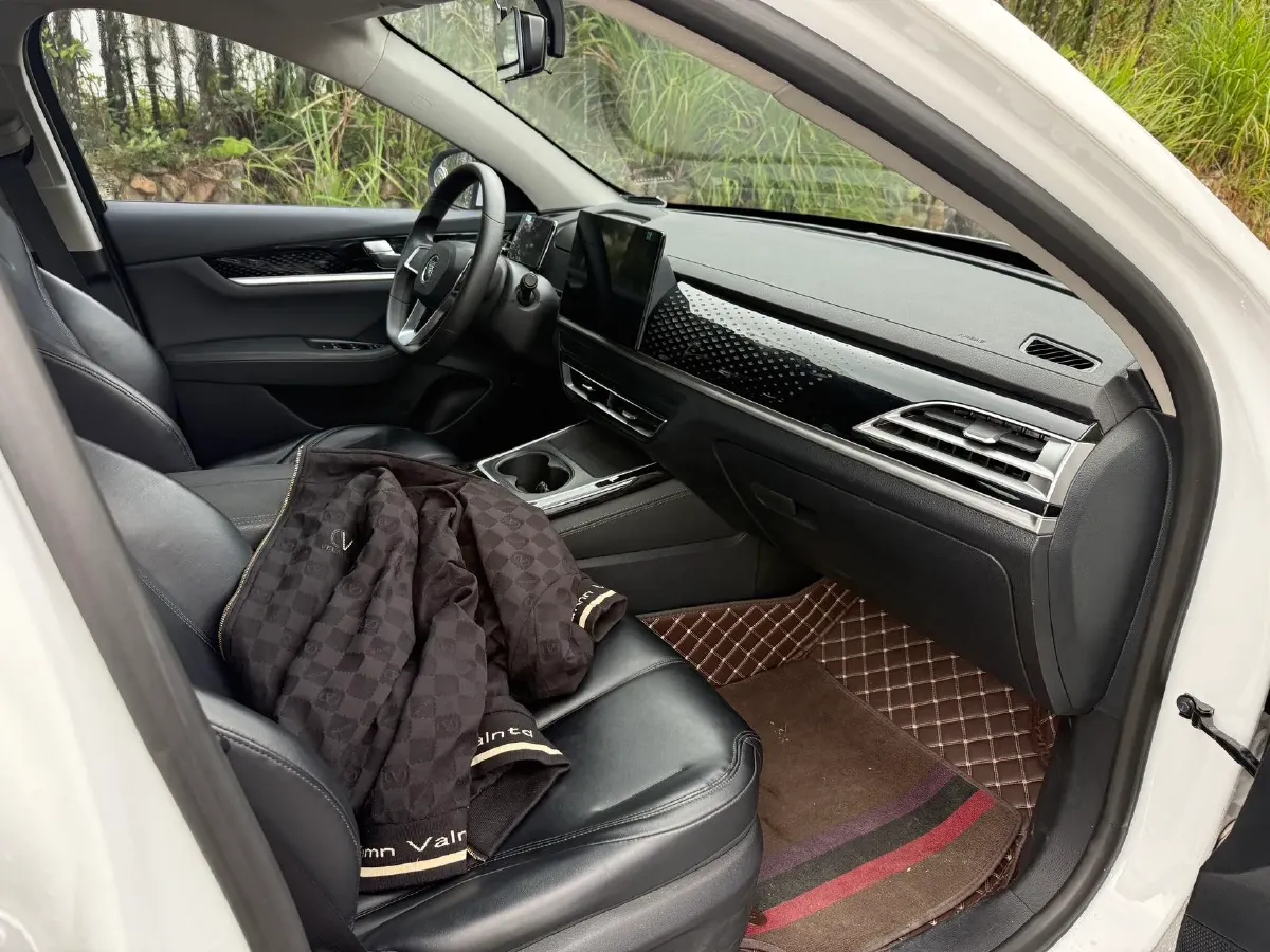 2021 BYD Qin BEV 53.56KWH,autocango,china used car exporter,china ev exporter,chinese used car exporter,chinese used ev exporter