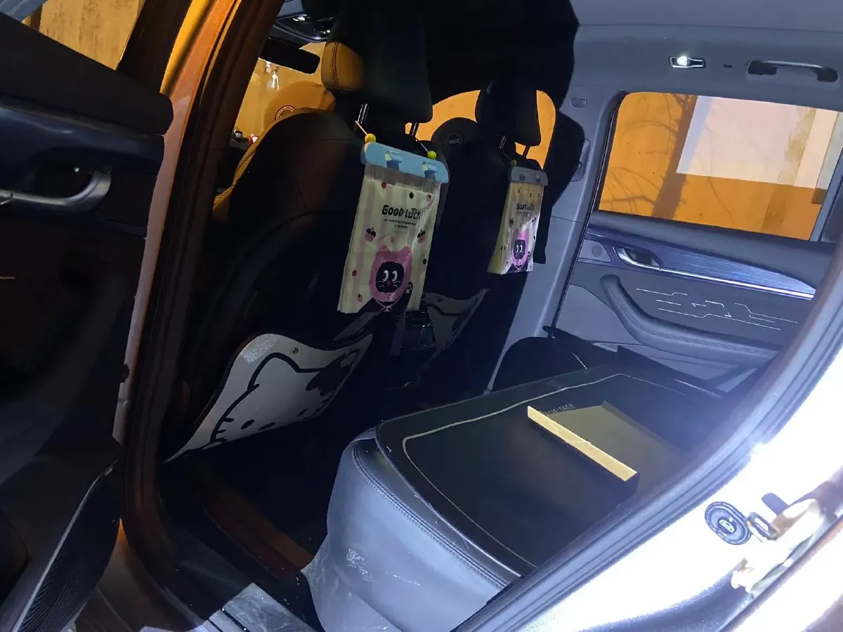 2024 Geely Monjaro 2.0T 238HP L4 8AT,autocango,china used car exporter,china ev exporter,chinese used car exporter,chinese used ev exporter