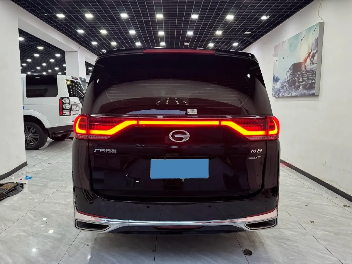 2021 GAC Trumpchi M8 2.0T 252HP L4 8AT,autocango,china used car exporter,china ev exporter,chinese used car exporter,chinese used ev exporter