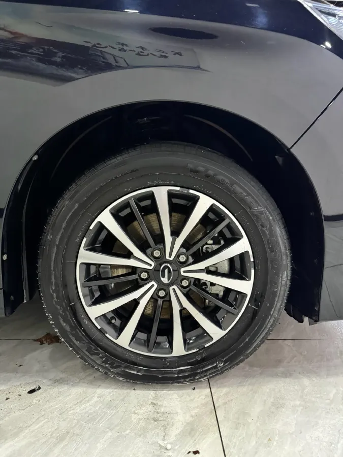 2021 GAC Trumpchi M8 2.0T 252HP L4 8AT,autocango,china used car exporter,china ev exporter,chinese used car exporter,chinese used ev exporter