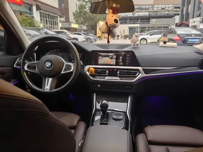 2020 BMW 3 Series 2.0T 184HP L4 8AT,autocango,china used car exporter,china ev exporter,chinese used car exporter,chinese used ev exporter