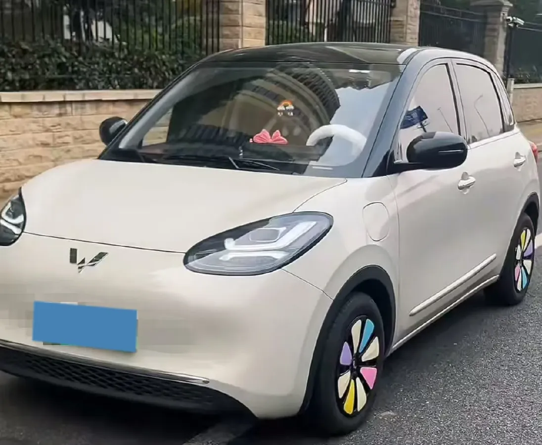 2023 WuLing BinGuo BEV 31.9KWH,autocango,china used car exporter,china ev exporter,chinese used car exporter,chinese used ev exporter