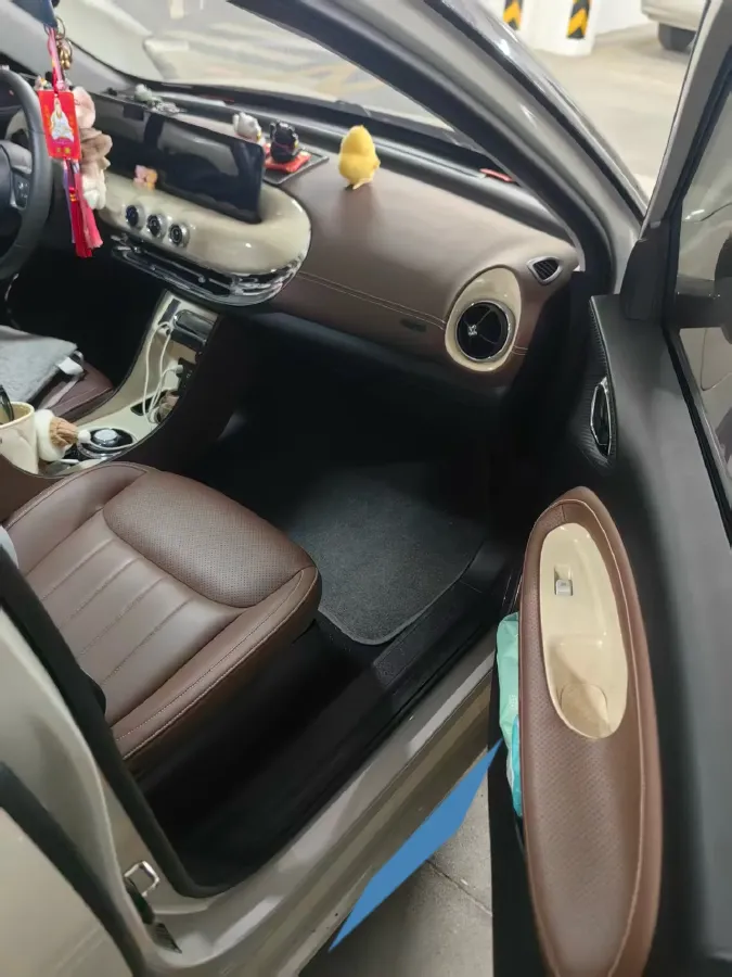 2023 WuLing BinGuo BEV 31.9KWH,autocango,china used car exporter,china ev exporter,chinese used car exporter,chinese used ev exporter