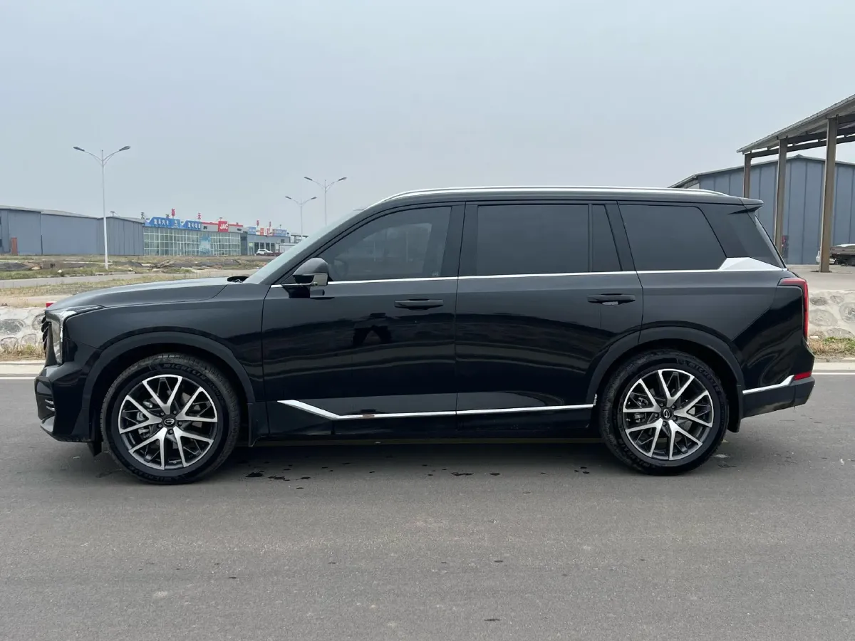 2025 GAC Trumpchi GS8 2.0T 252HP L4 8AT,autocango,china used car exporter,china ev exporter,chinese used car exporter,chinese used ev exporter