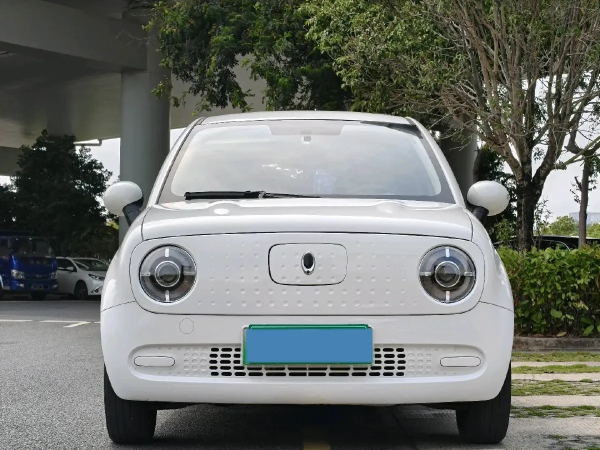 2021 Ora BlackCat BEV 30.3KWH,autocango,china used car exporter,china ev exporter,chinese used car exporter,chinese used ev exporter