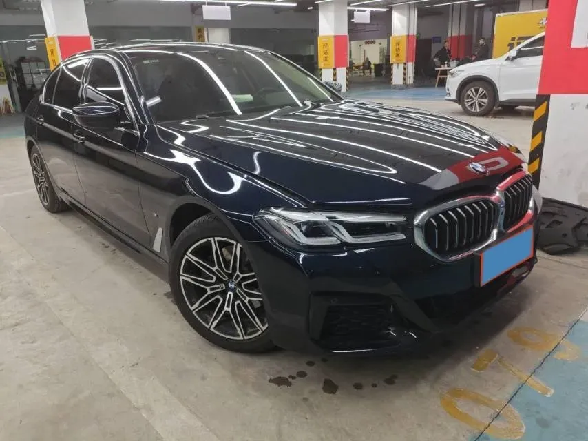 2021 BMW 5 Series 2.0T 184HP L4 8AT,autocango,china used car exporter,china ev exporter,chinese used car exporter,chinese used ev exporter