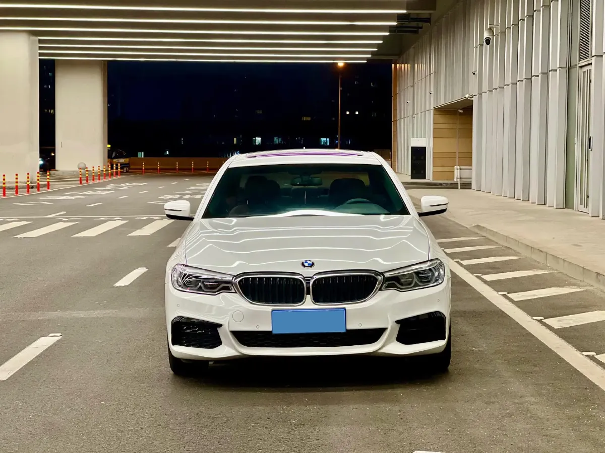2020 BMW 5 Series 2.0T 252HP L4 8AT,autocango,china used car exporter,china ev exporter,chinese used car exporter,chinese used ev exporter