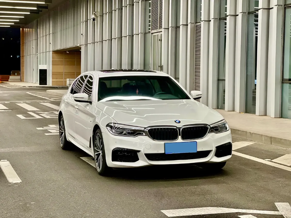 2020 BMW 5 Series 2.0T 252HP L4 8AT,autocango,china used car exporter,china ev exporter,chinese used car exporter,chinese used ev exporter