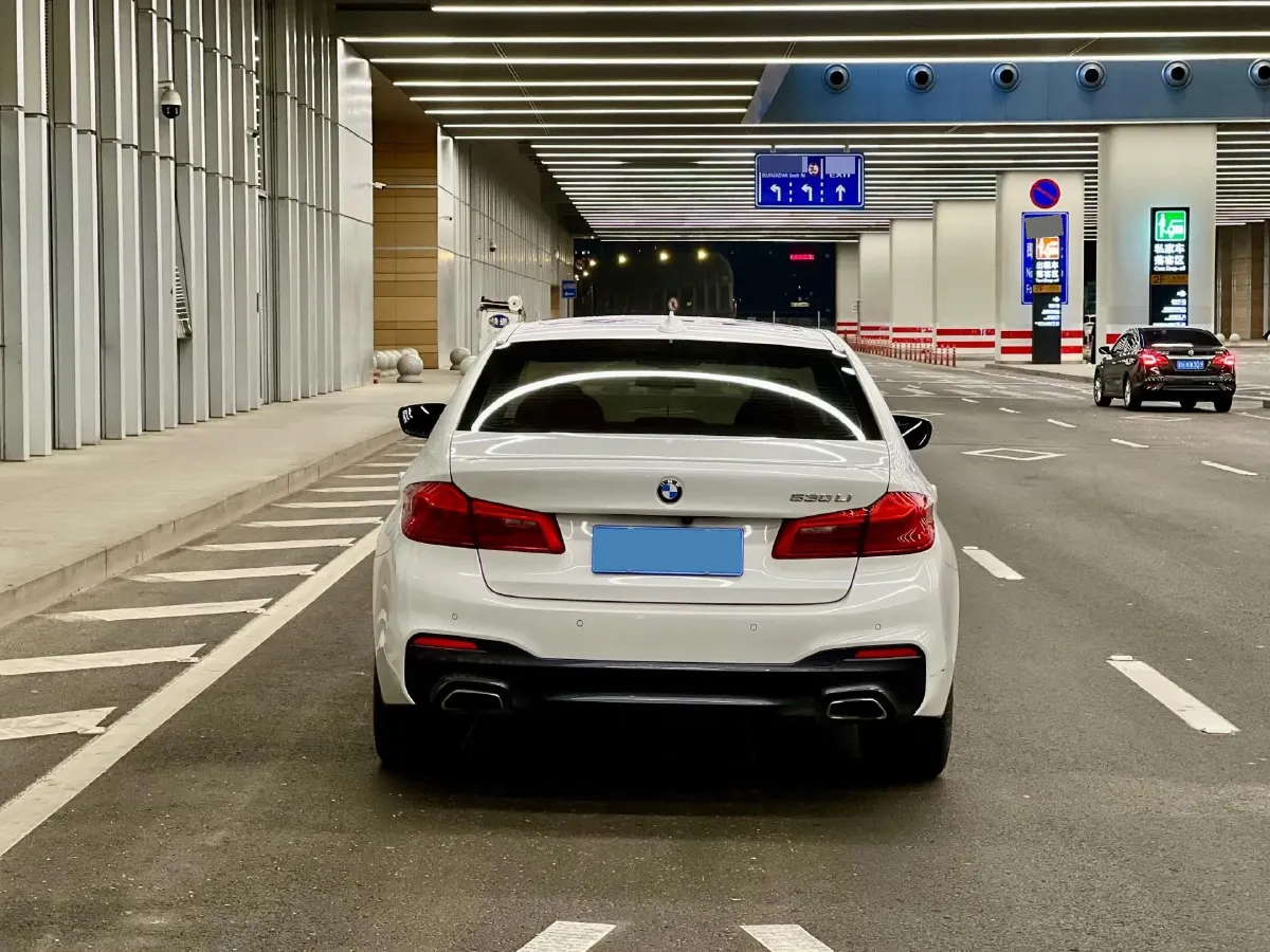 2020 BMW 5 Series 2.0T 252HP L4 8AT,autocango,china used car exporter,china ev exporter,chinese used car exporter,chinese used ev exporter