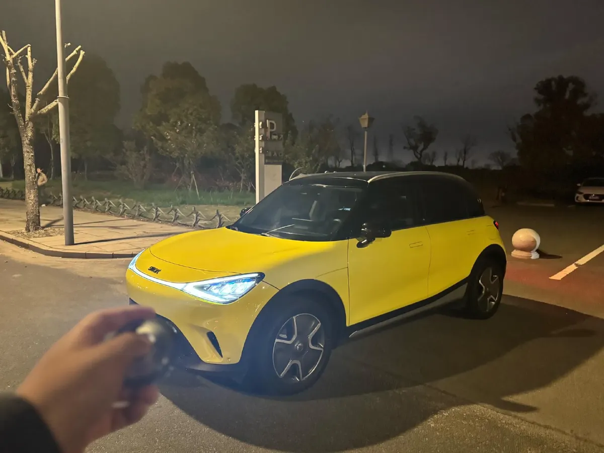 2022 Smart smart Elf 1 BEV 66KWH,autocango,china used car exporter,china ev exporter,chinese used car exporter,chinese used ev exporter