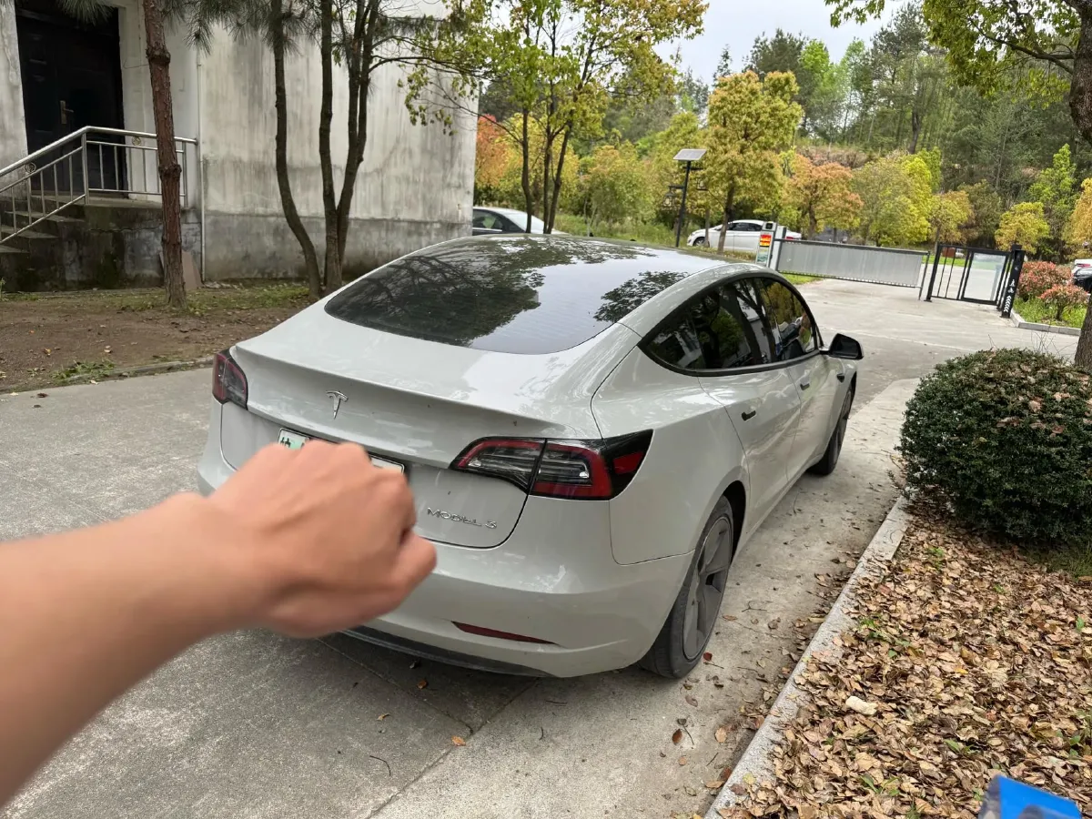 2021 Tesla Model 3 BEV 55KWH,autocango,china used car exporter,china ev exporter,chinese used car exporter,chinese used ev exporter