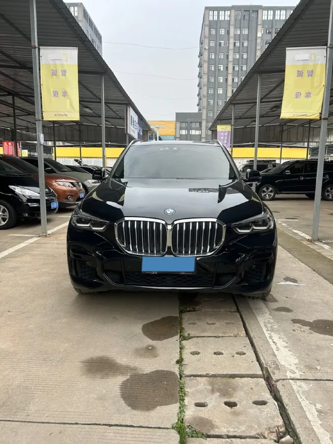 2021 BMW X5 2.0T 265HP L4 8AT,autocango,china used car exporter,china ev exporter,chinese used car exporter,chinese used ev exporter