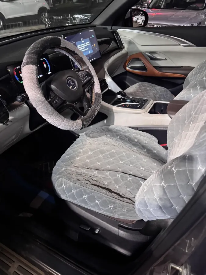 2022 Ruichi Auto EC31 BEV 41.932KWH,autocango,china used car exporter,china ev exporter,chinese used car exporter,chinese used ev exporter