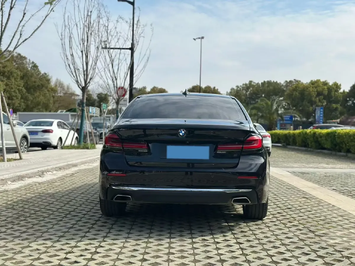 2021 BMW 5 Series 2.0T 184HP L4 8AT PHEV 17.7KWH,autocango,china used car exporter,china ev exporter,chinese used car exporter,chinese used ev exporter