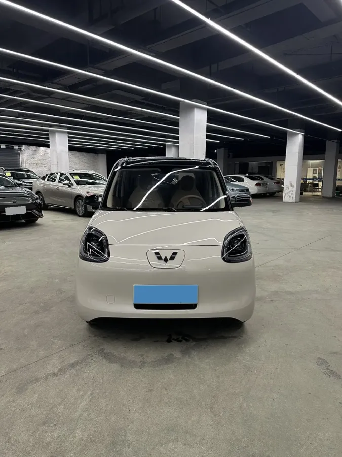 2025 WuLing HongGuang MINI EV BEV 16.2KWH,autocango,china used car exporter,china ev exporter,chinese used car exporter,chinese used ev exporter