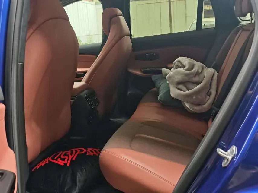 2020 Lexus NX 2.5L 155HP L4 E-CVT Hybrid,autocango,china used car exporter,china ev exporter,chinese used car exporter,chinese used ev exporter