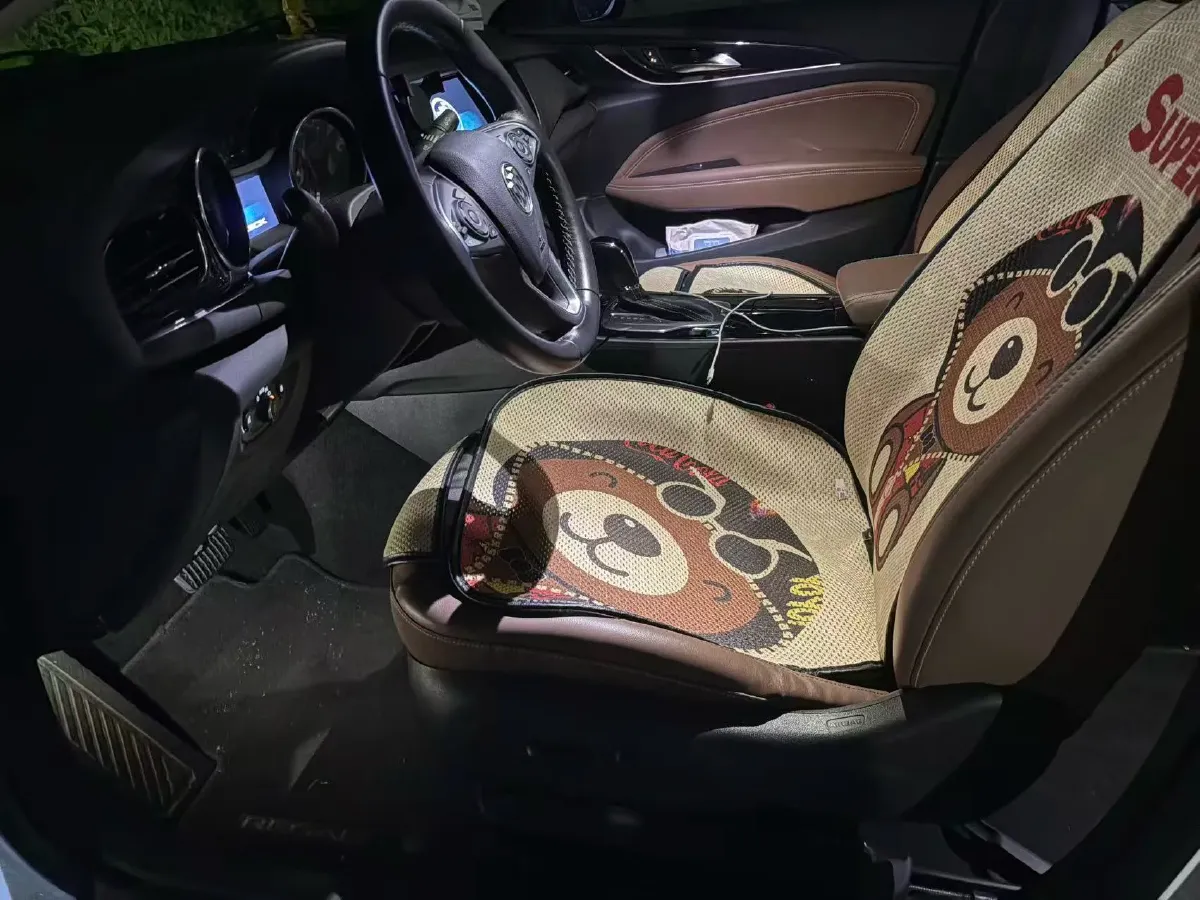 2019 Buick Regal 1.5T 170HP L4 9AT,autocango,china used car exporter,china ev exporter,chinese used car exporter,chinese used ev exporter